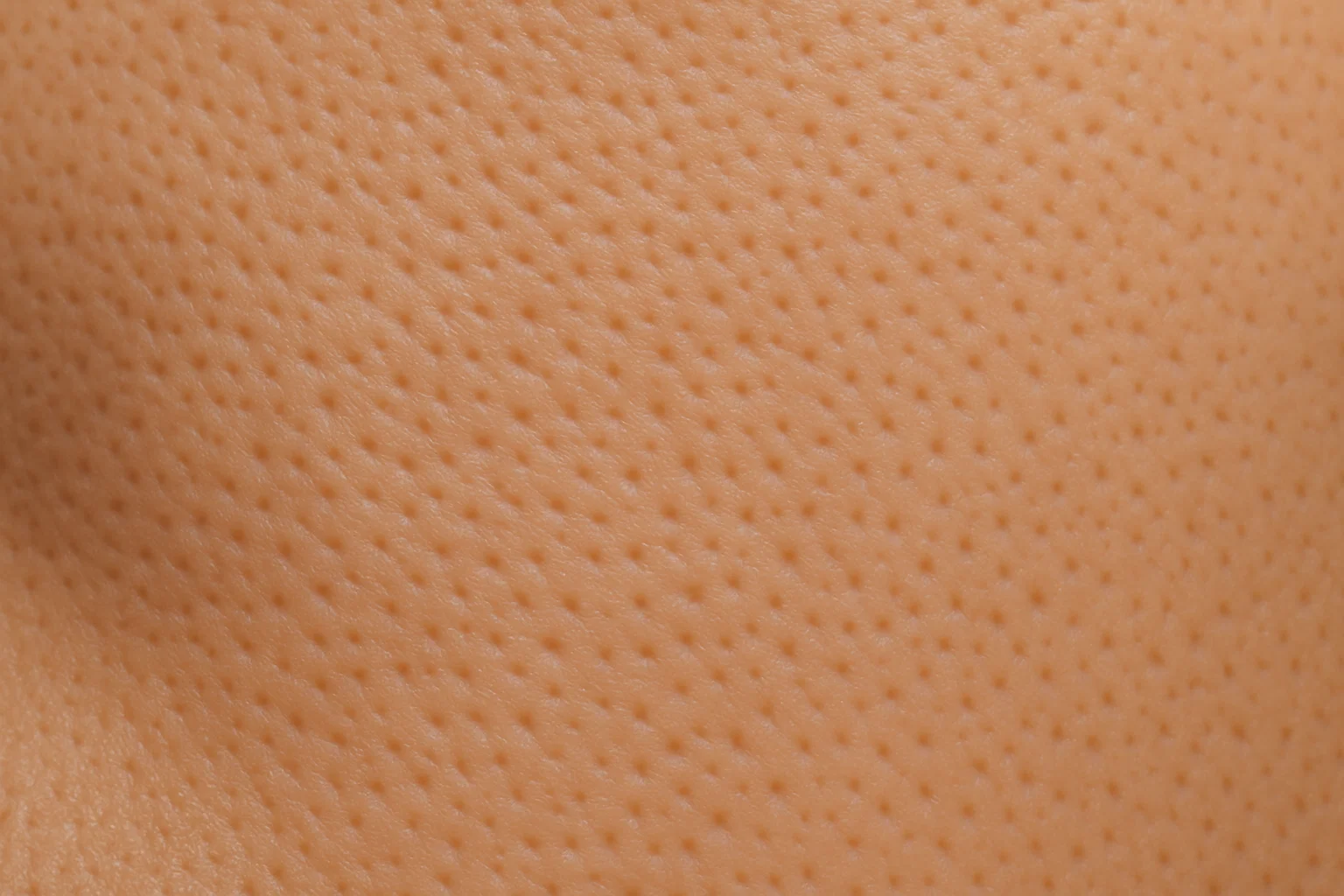 Poros aparentes